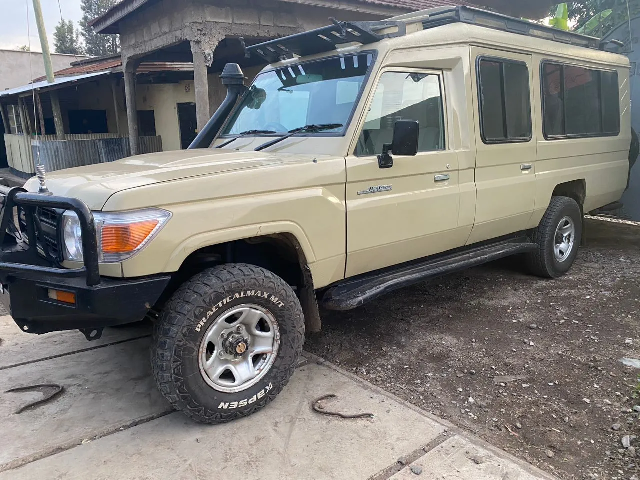 3-Day Maswa And Southern Serengeti Package: An Intimate Wildlife Experience
