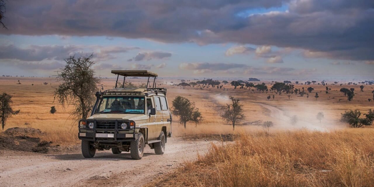 10-Day Uganda Gorillas And Tanzania Safari: Ultimate Itinerary & Planning