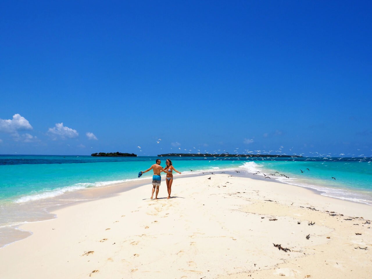 Mafia Island Sandbank Trip From Zanzibar: Your Ultimate Guide 2026-2027