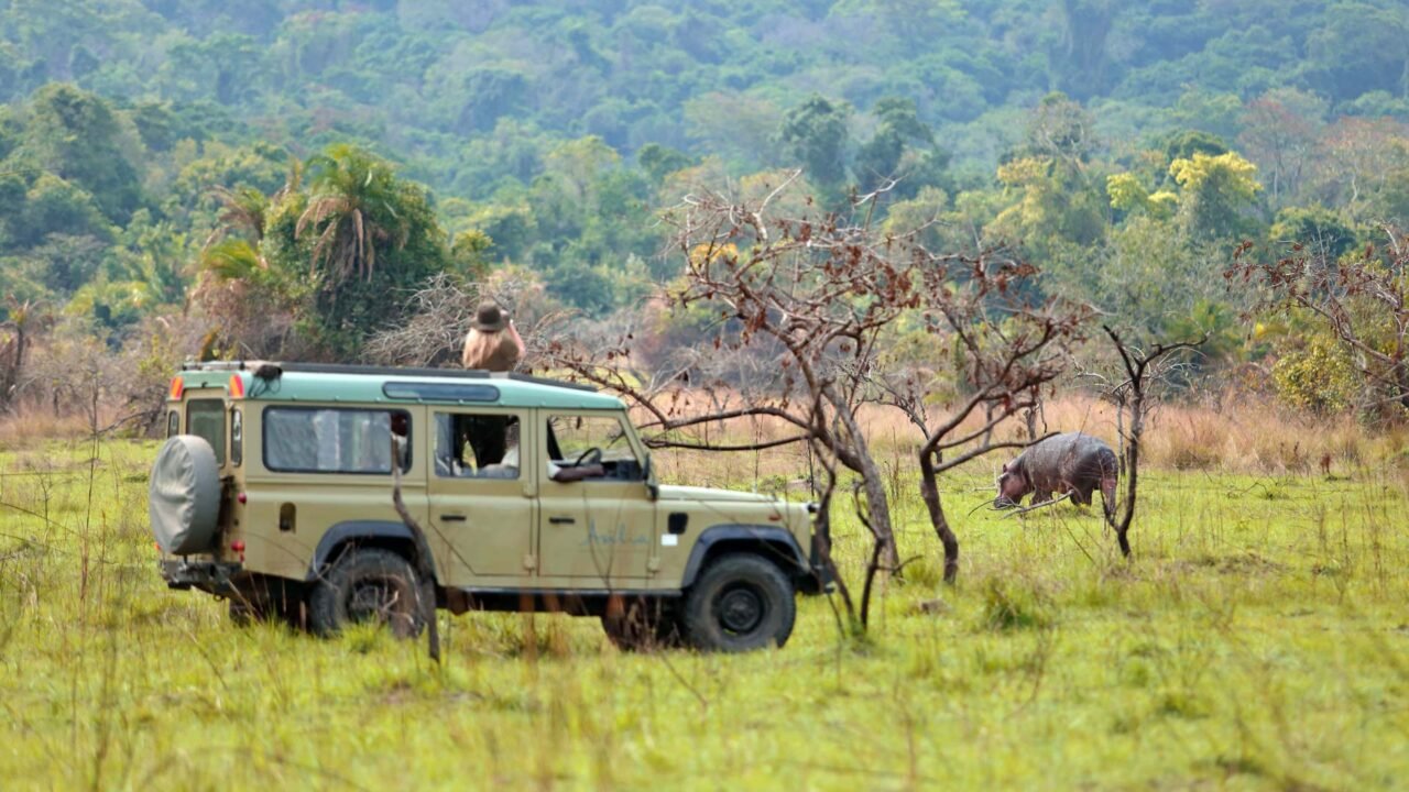 Botswana Honeymoon Safari: Best Guide