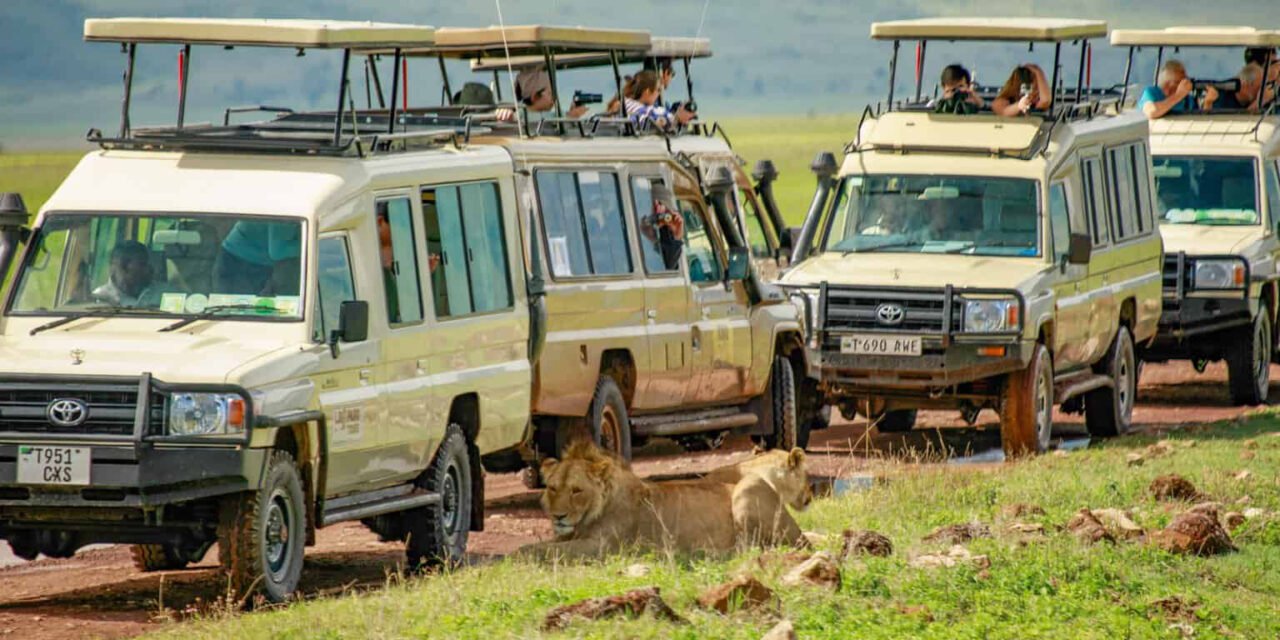 Best Tanzania Honeymoon Tour Operator — Top Guide Adventures Guide