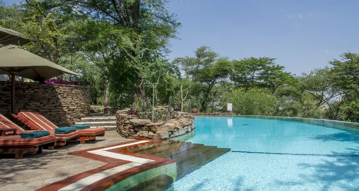 Affordable Safari Company In Arusha — Top Guide Adventures: Best