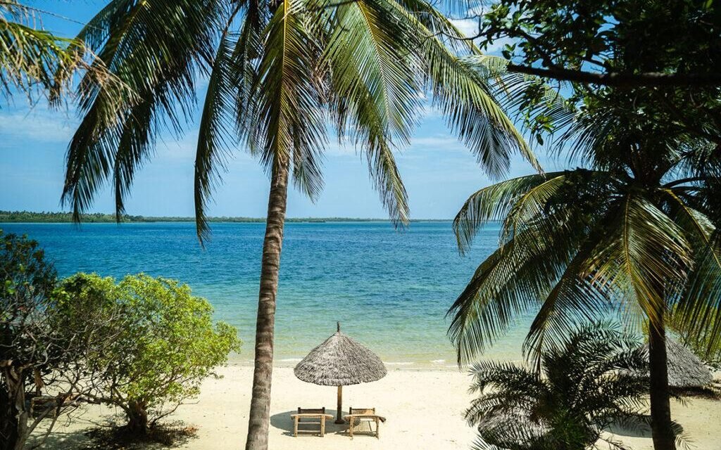 Best Mafia Island Travel Package From Zanzibar For 2026-2027