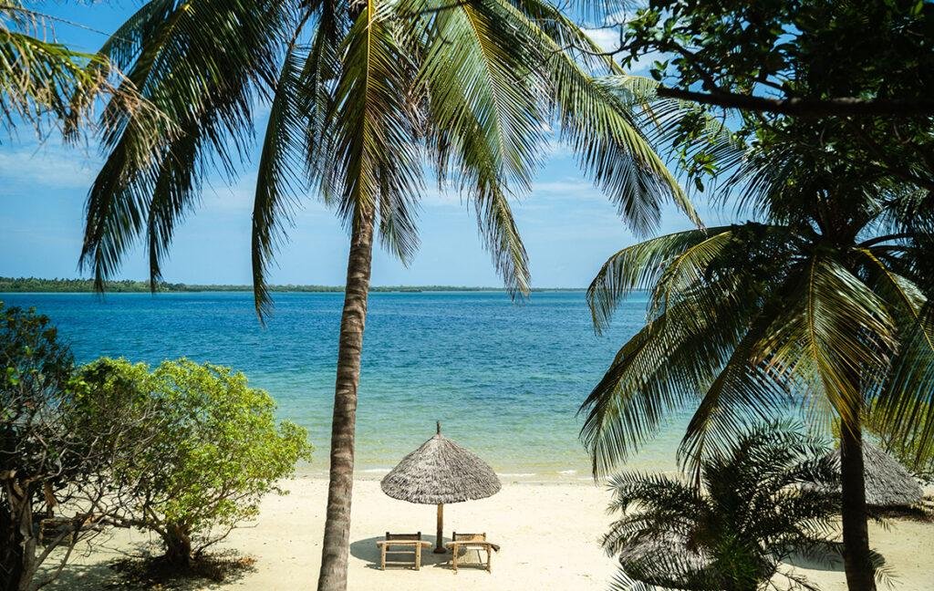 Mafia Island Private Tour From Zanzibar: Your Ultimate Escape In 2026-2027