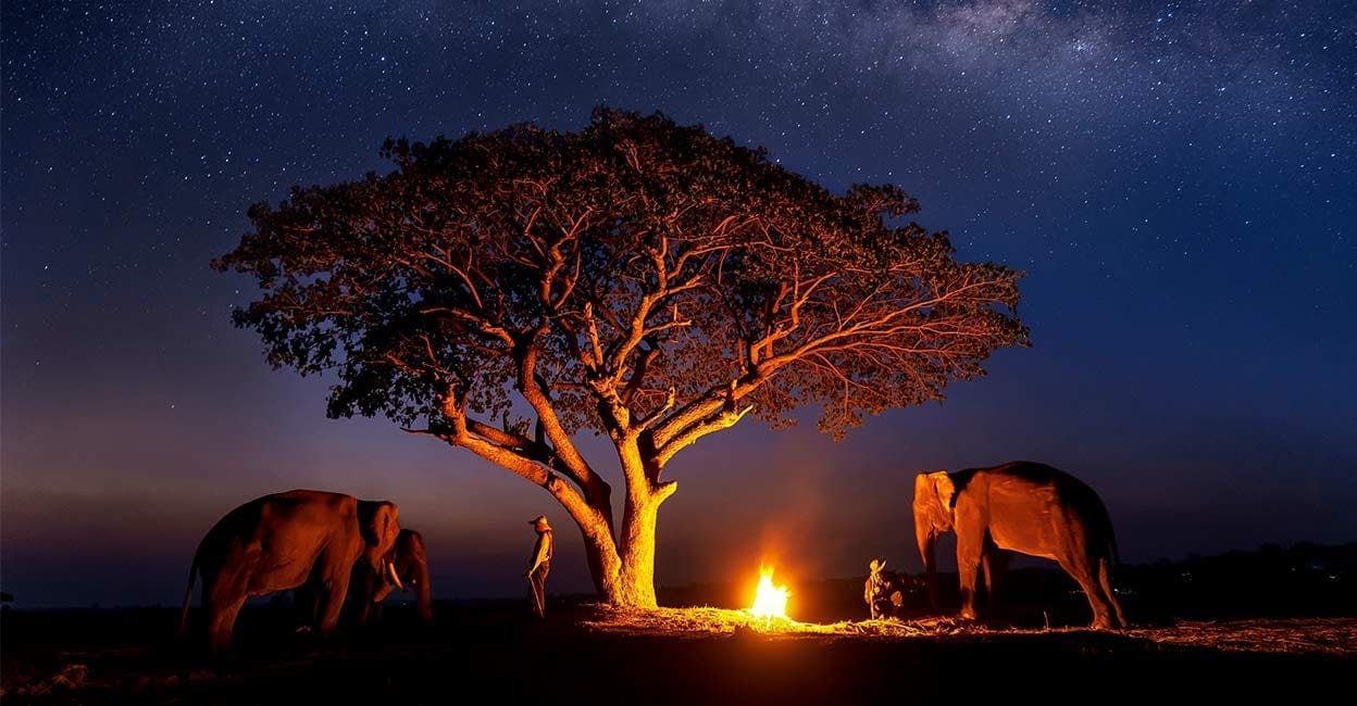 Best Time To Visit Tanzania: Month-By-Month Guide: Complete