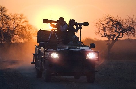 Grumeti Safari: Your Ultimate Guide to an Unforgettable Wildlife Adventure in Tanzania