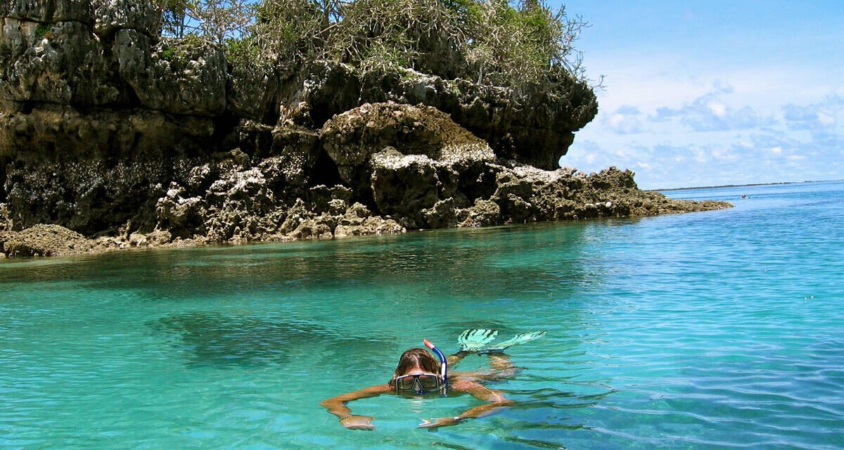 Zanzibar Safari Blue Tour From Moshi: Best Guide 2026-2027-2028