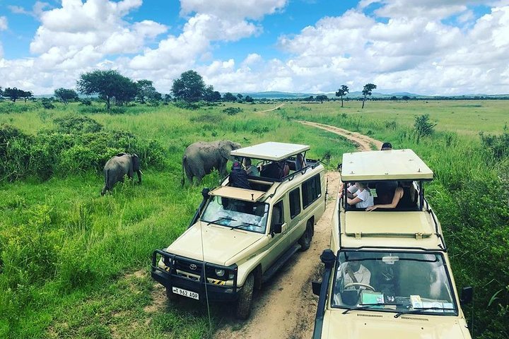 River And Delta Exploration Trips: Complete Guide 2026-2027