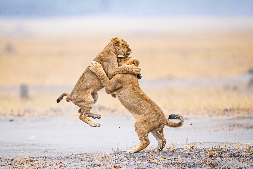 Tanzania Travel Guide: Everything You Need To Know Before You Go Gui