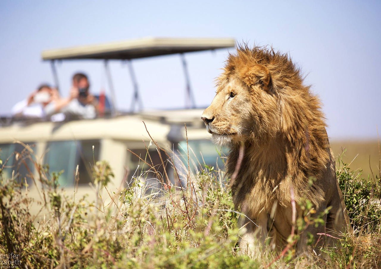 Best Time To Visit Ngorongoro Crater: Safari Guide