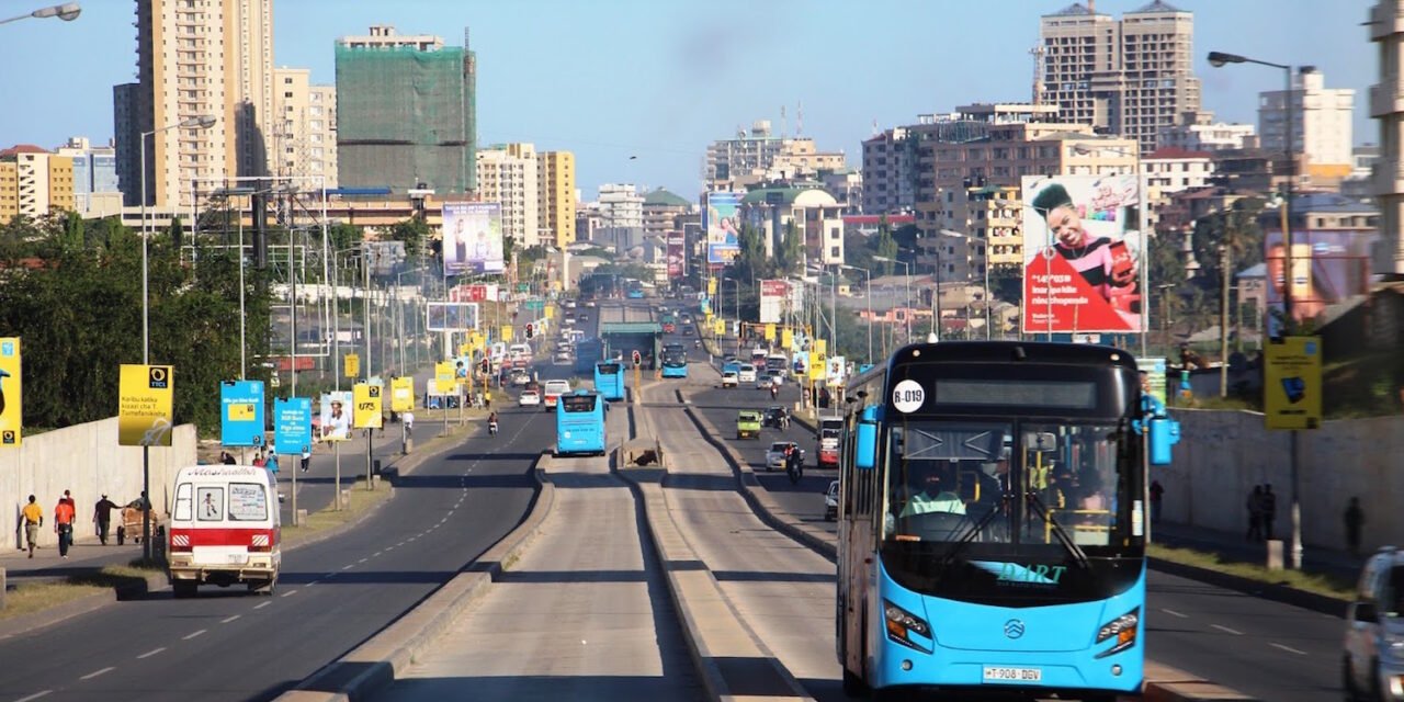 Dar Es Salaam To Mikumi Safari Guide: Best Safari Guide