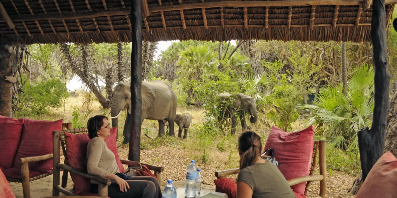 7-Day Masai Mara And Serengeti Migration Safari: The Ultimate Wildlife