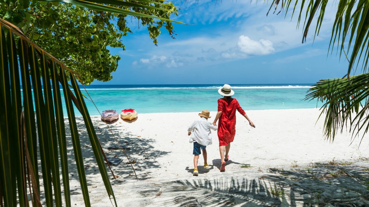 Best 1 Day Mikumi Safari From Zanzibar: Guide 2026-2027-2028