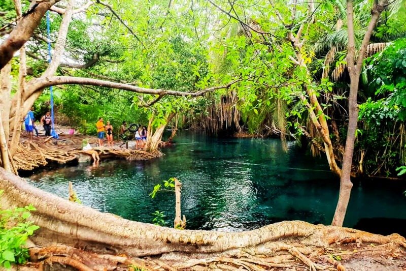 Kikuletwa Hot Springs Day Tour 'Blue Water' Best Short Trip 2026-2027