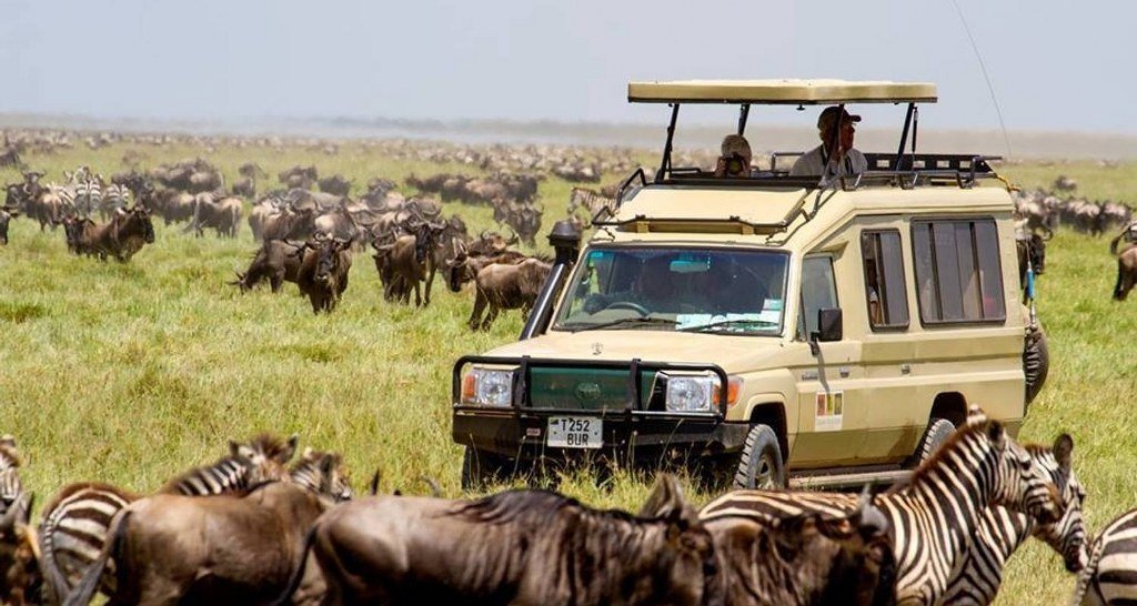 Ngorongoro Crater In One Day: Is It Enough?: Expert Guide