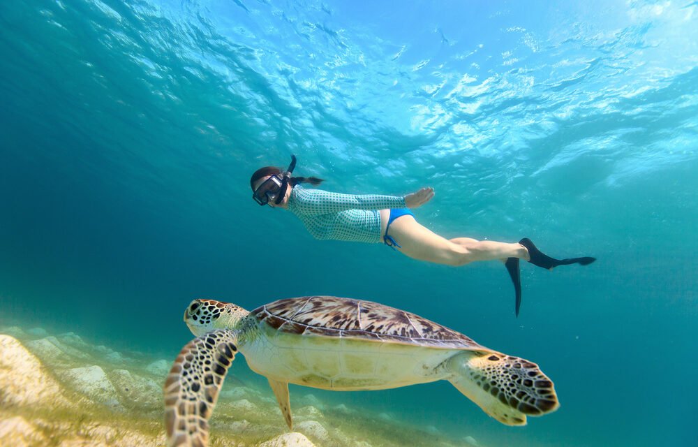 Moshi To Zanzibar Tour Package: Complete Travel Guide 2026-2027-2028