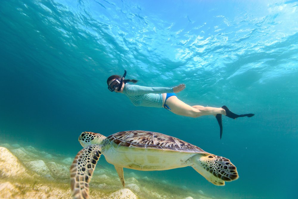 Best Mafia Island Beach Package From Zanzibar: Your Ultimate Guide 2026-2027