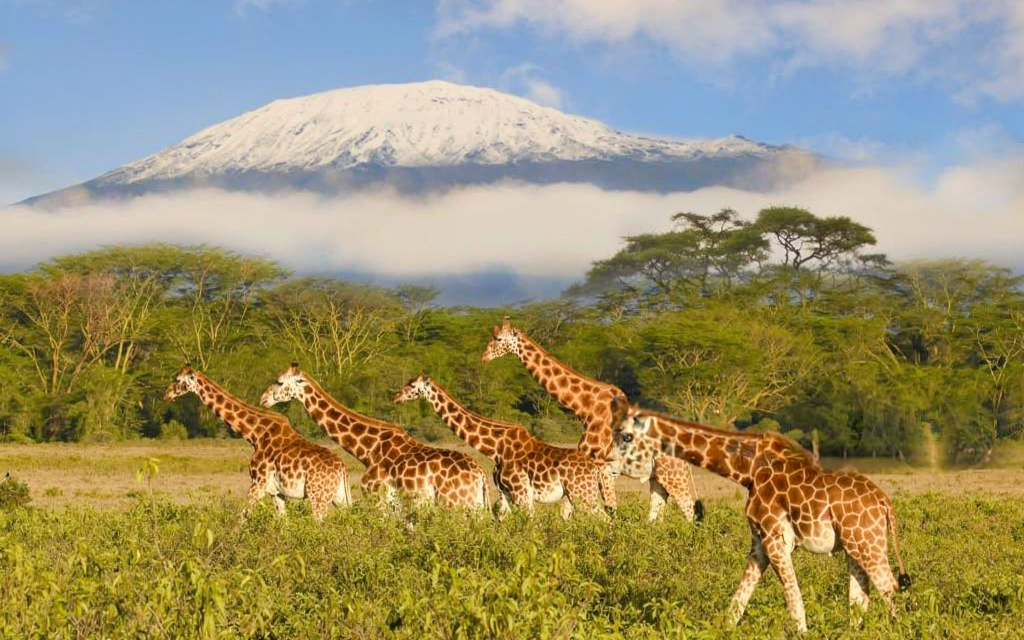 6-Day Masai Mara Photographic Safari — Migration Season: Best Guide