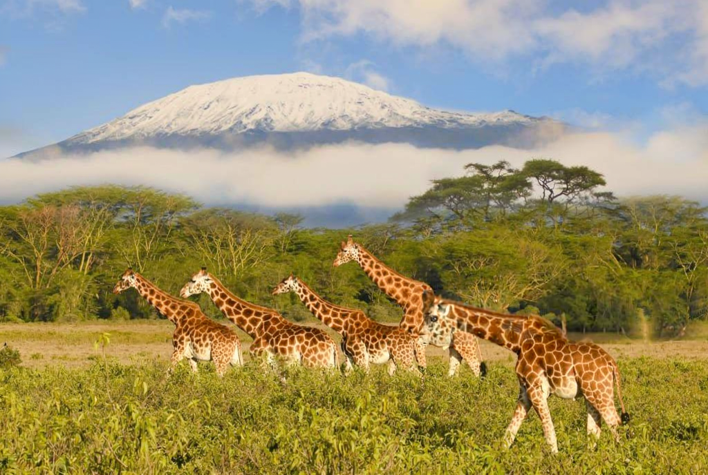 6-Day Masai Mara Photographic Safari — Migration Season: Best Guide