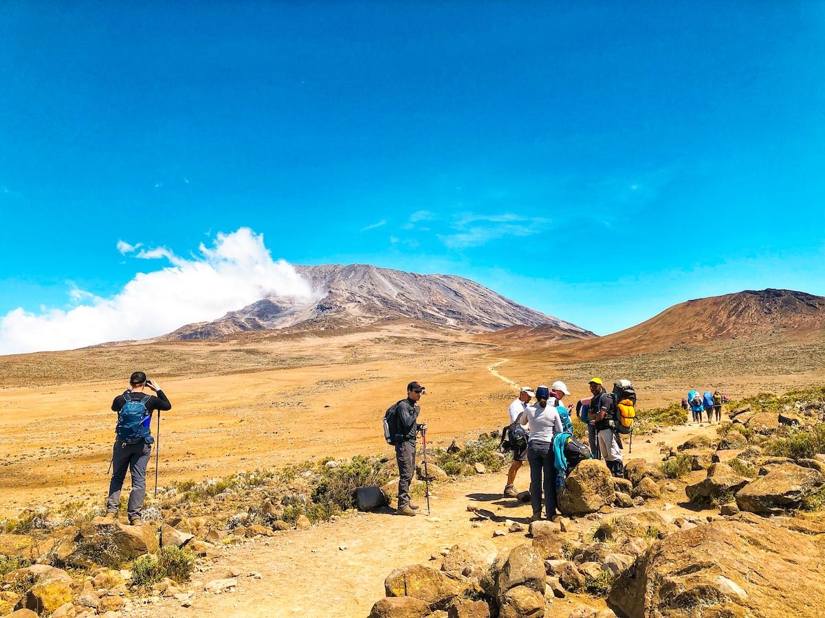 Umbwe Route Kilimanjaro Guide: Expert Trekking