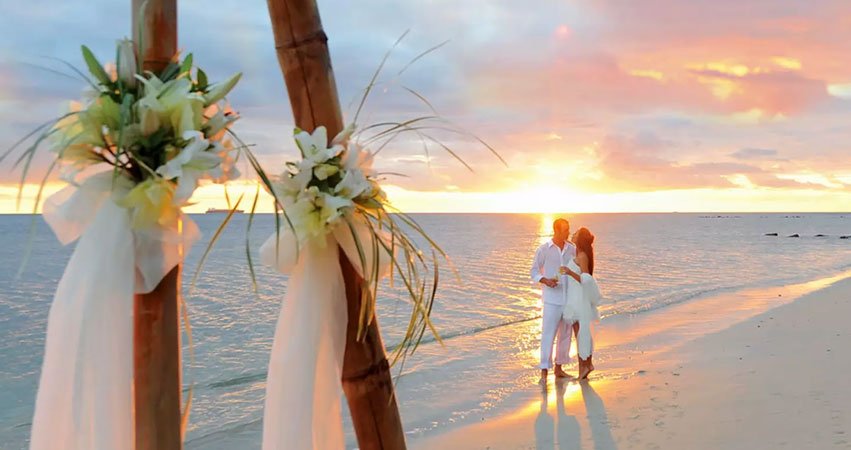Mafia Island Eco Tour From Zanzibar: Your Guide 2026-2027