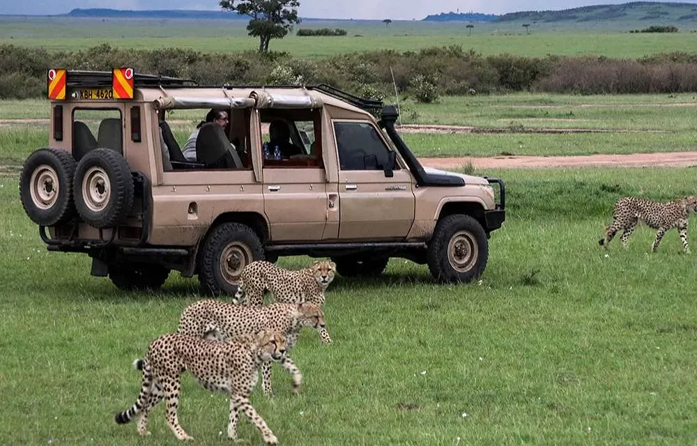 8 Days Serengeti And Lake Natron Safari From Moshi: Best Guide 2026-2027-2028
