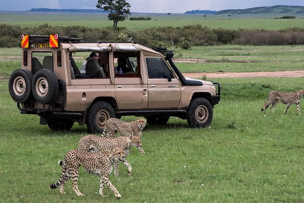 Backpacking Africa Cost: Essential Travel Guide
