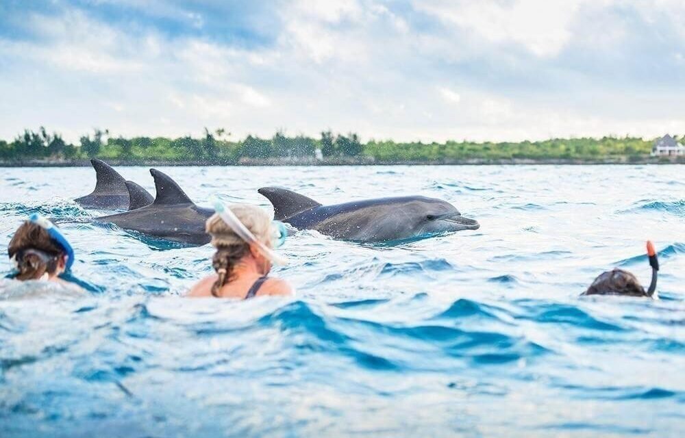 Luxury 5 Days Mafia Island Package From Zanzibar: Your Ultimate Escape
