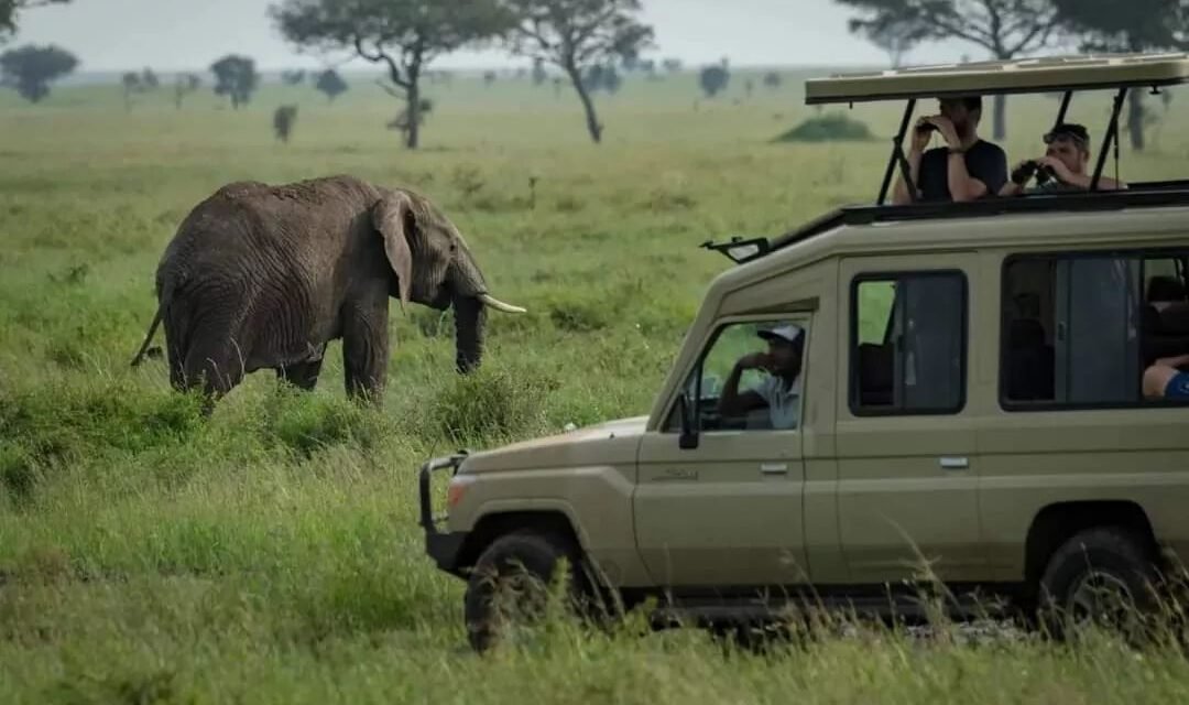 Best Places To Visit In Western Tanzania: Complete Guide 2026-2027