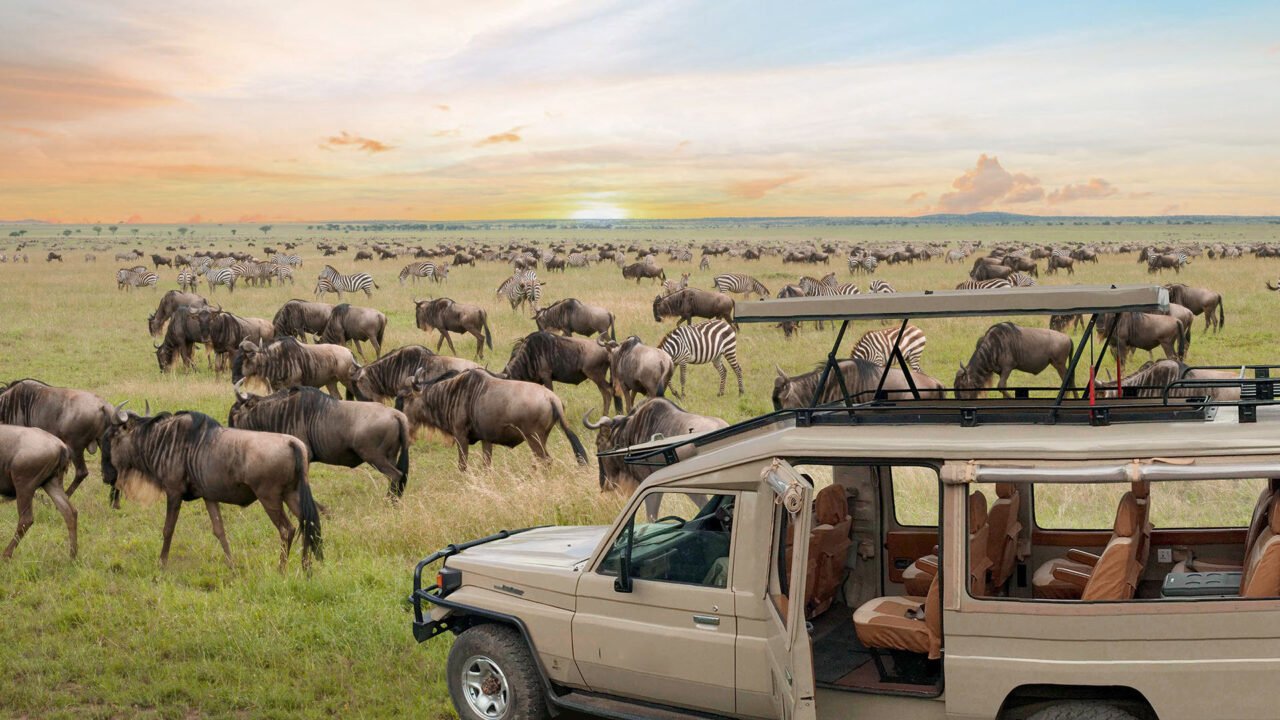 Tanzania Honeymoon Safari: Your Expert Guide