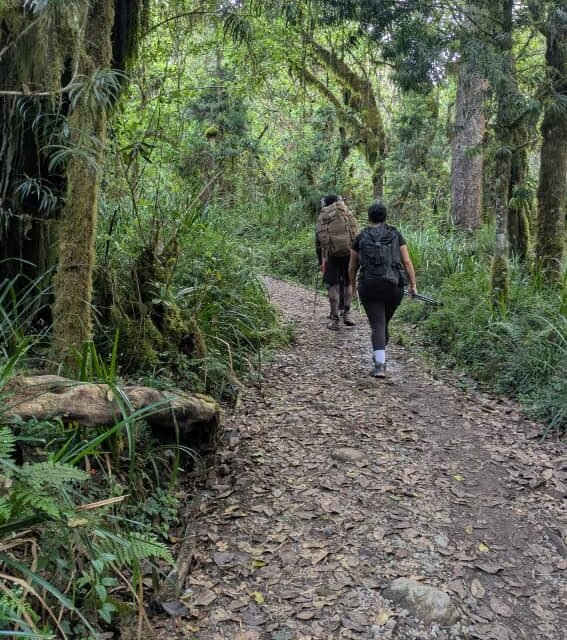 Best Rau Forest Nature Walk From Moshi 2026-2027