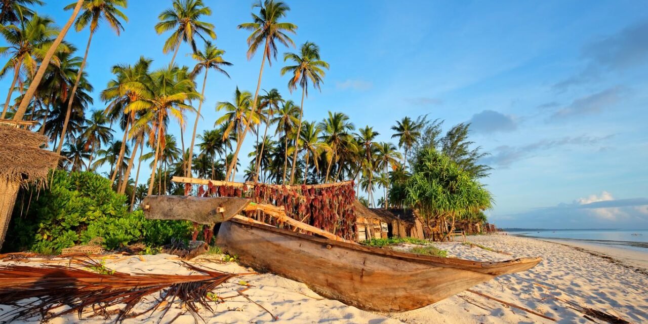 Mikumi Safari From Zanzibar No Hidden Fees: Best Guide 2026-2027-2028