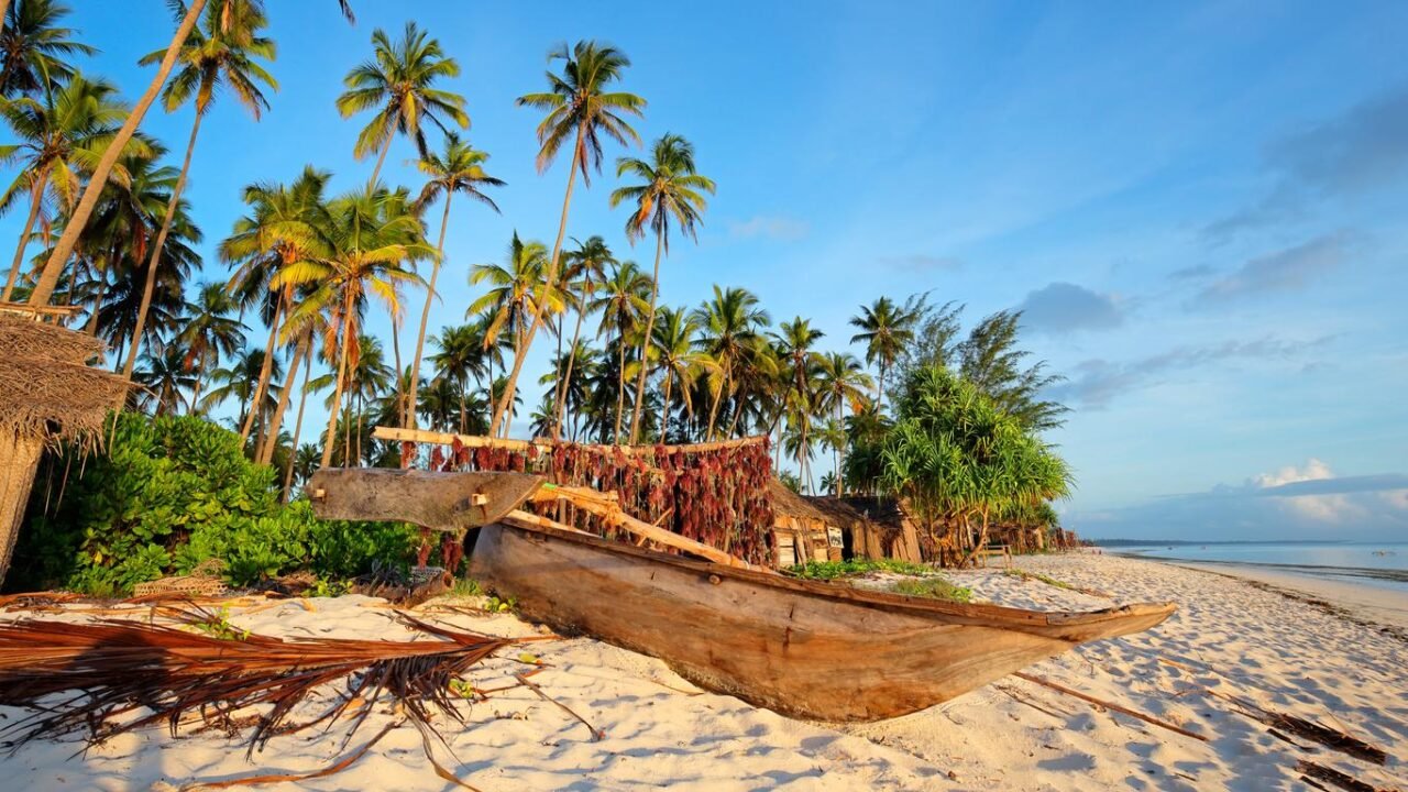 Luxury Selous Safari From Zanzibar: Best Guide 2026-2027-2028