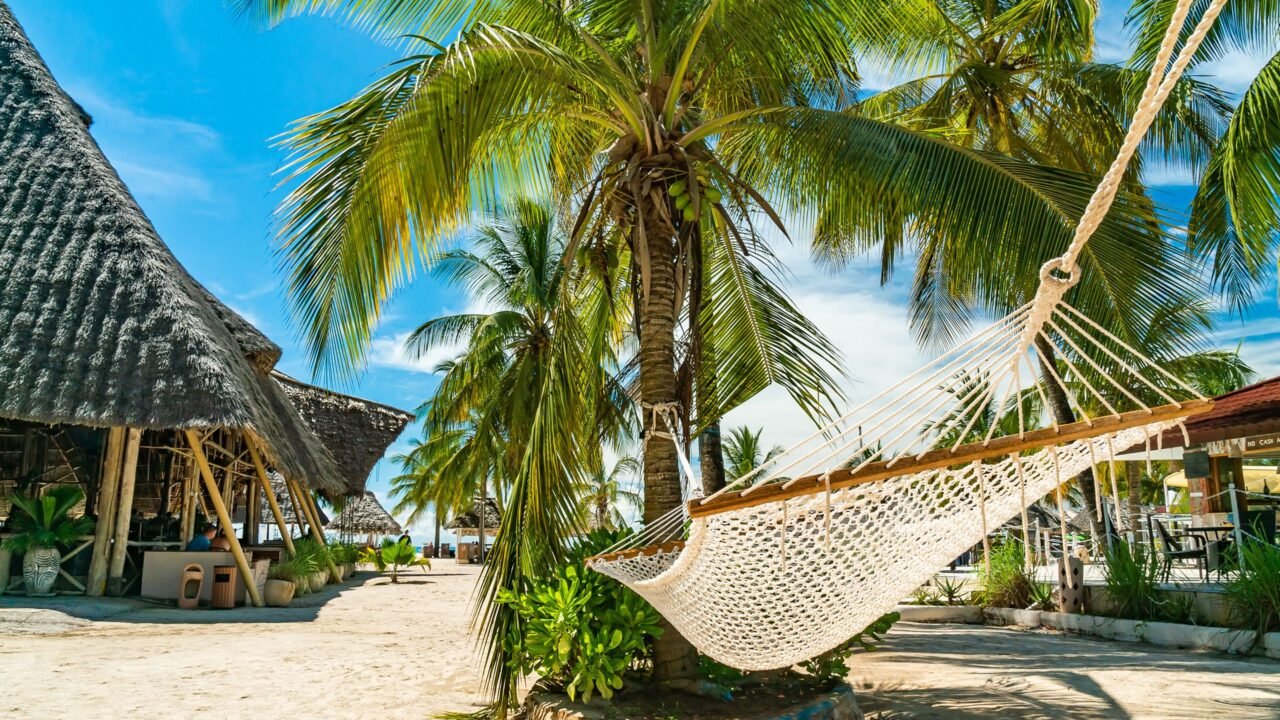 Mikumi Safari From Zanzibar Price Per Person: Best Guide 2026-2027-2028
