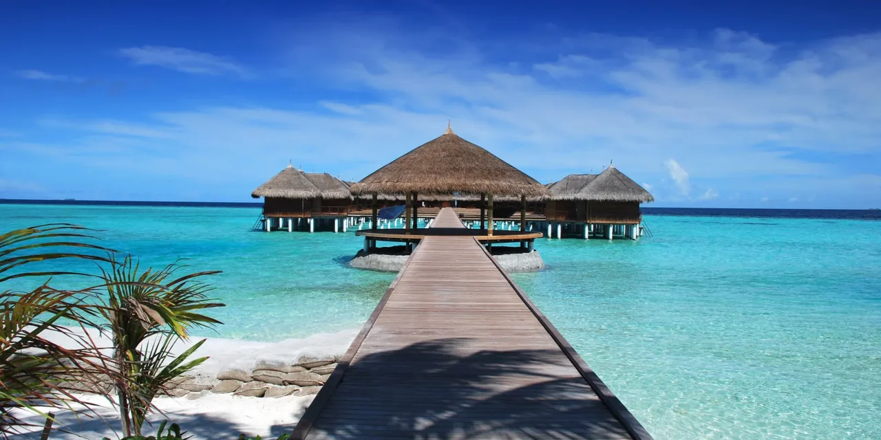 Romantic Mikumi Safari From Zanzibar: Best Guide 2026-2027-2028