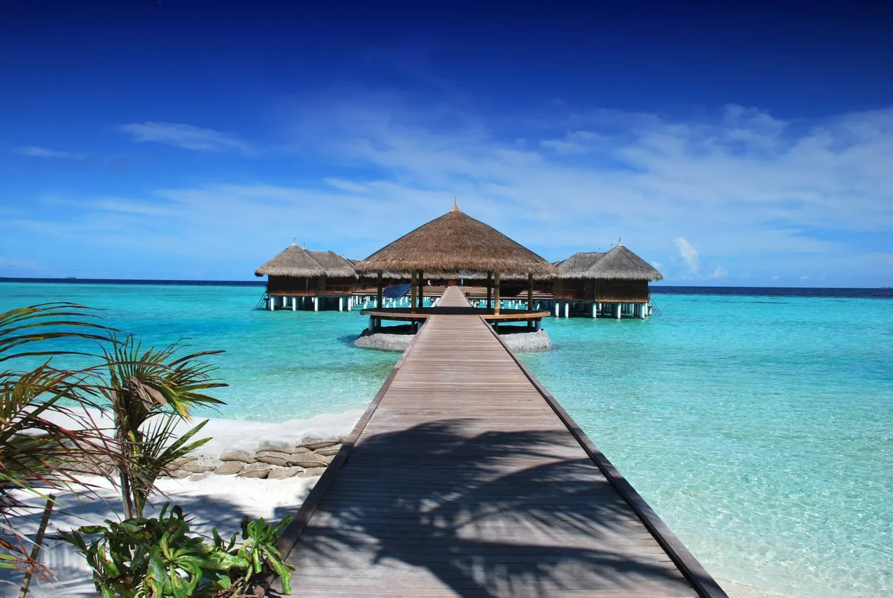 Private Mikumi Safari From Zanzibar: Best Guide 2026-2027-2028