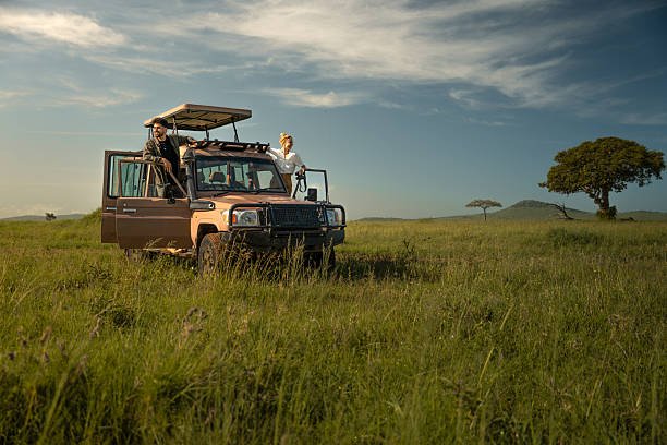 Moshi To Tarangire And Ngorongoro Safari: Best Guide 2026-2027-2028