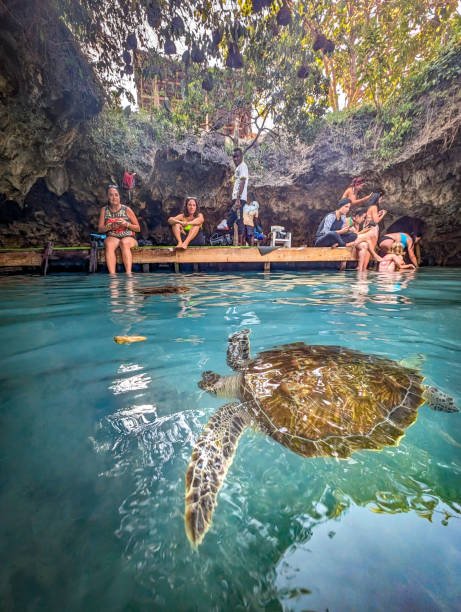 Family Vacation South Africa: Essential Travel Guide