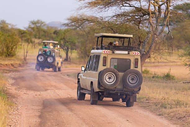 Luxury 3 Days Mikumi Safari From Zanzibar: Best Guide 2026-2027-2028