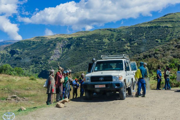 Cape Safari & Falls: Your Ultimate Tanzania Adventure Guide