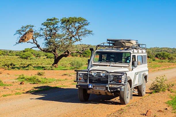Tarangire Luxury Lodge Safari: Ultimate Tanzania Wildlife Experience 2026-2027