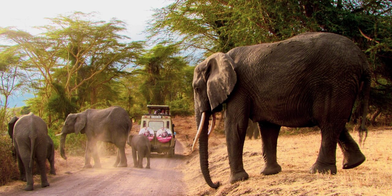 How to Do a 3 Day Safari from Arusha to Tarangire, Ngorongoro and Manyara – Complete Guide 2026-2027