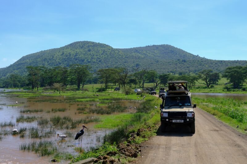 Best 2 Days Mkomazi National Park From Dar Es Salaam 2026-2027
