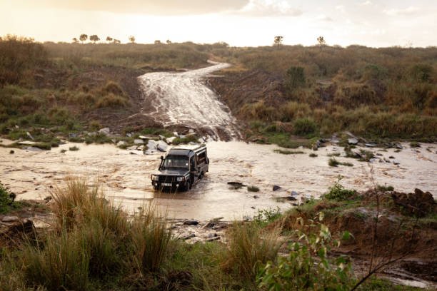 3-Day Rumanyika-Karagwe Nature Tour