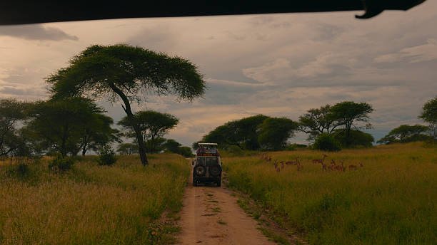 Old Moshi Cultural Tour: Complete Guide 2026-2027-2028