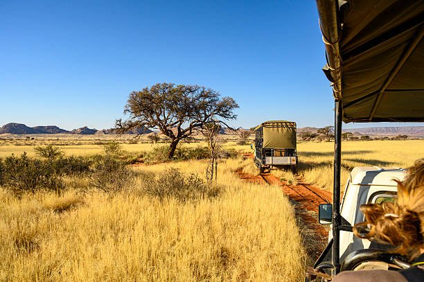 Ngorongoro Crater Family Adventure