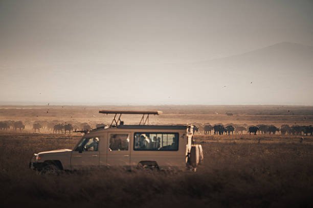 2-Day Mto Wa Mbu Culture And Nature Package: A Deep Dive With Top Guide