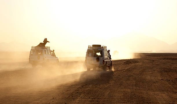 Tarangire Night Game Drive Package: Experience Tanzanias Nocturnal Wildlife