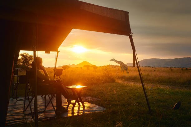 4-Day Burigi-Chato Camping Safari: An Immersive Tanzanian Wilderness