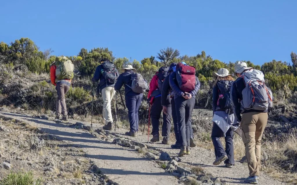 Private Kilimanjaro Climb With Flexible Daily Distances | Top Guide Adventures